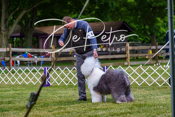 20190523-DSC07037