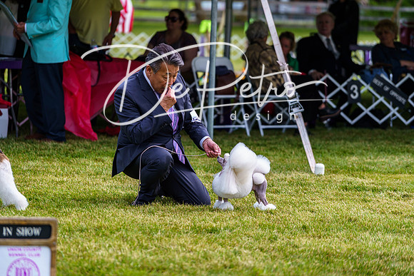 20190523-DSC07360