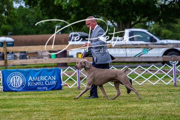 20190523-DSC07240