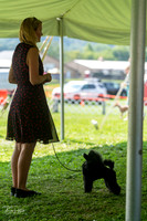 20240816-DSC00178
