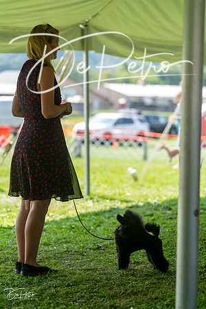 20240816-DSC00178
