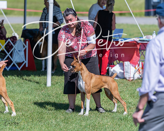 20210605-DSC08654