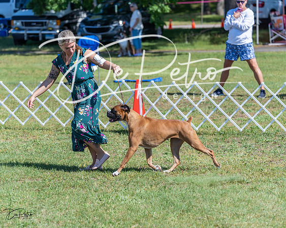 20210605-DSC08589