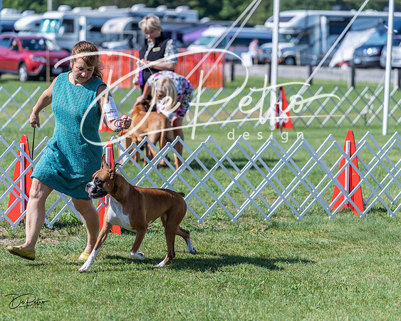 20210605-DSC08333