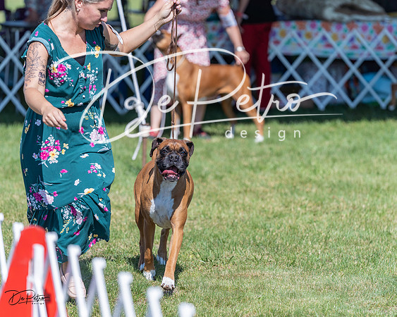 20210605-DSC08611