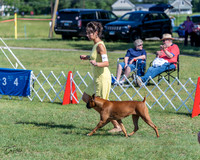 20210605-DSC08233