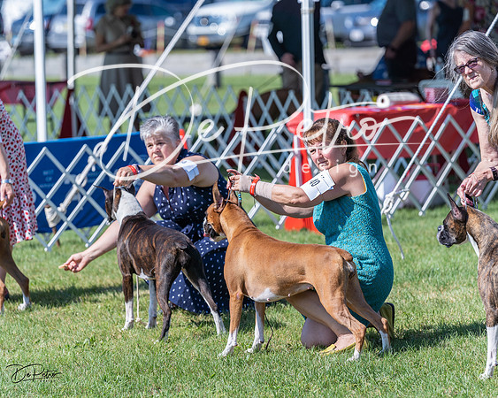 20210605-DSC08416