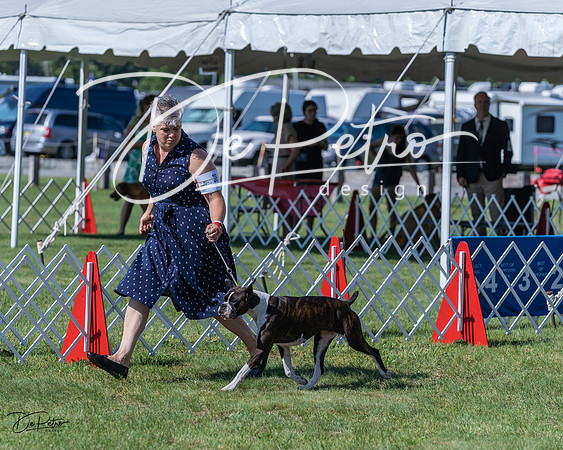 20210605-DSC08315
