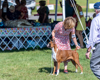 20210605-DSC08187