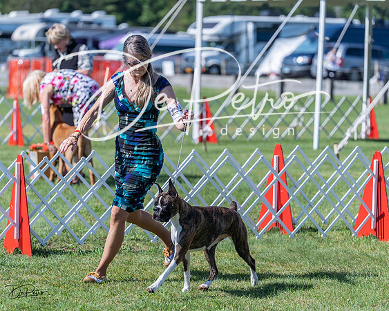 20210605-DSC08349