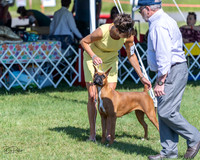 20210605-DSC08212