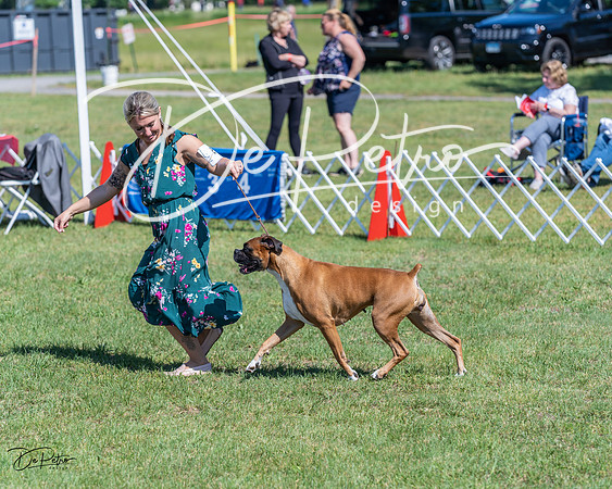 20210605-DSC08603