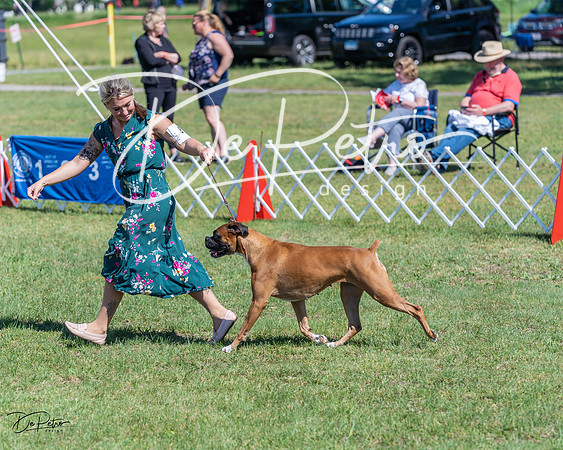 20210605-DSC08601
