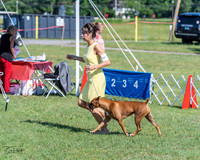 20210605-DSC08239