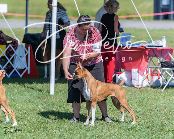 20210605-DSC08649