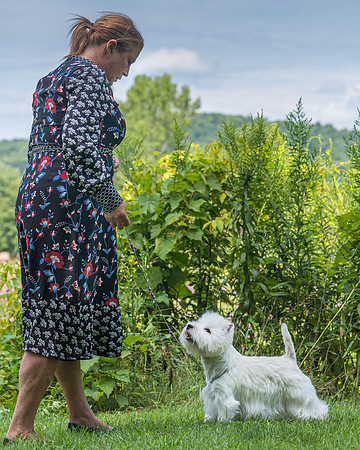 20190818-DSC02589