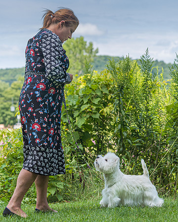 20190818-DSC02587