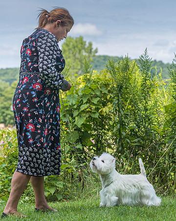 20190818-DSC02588