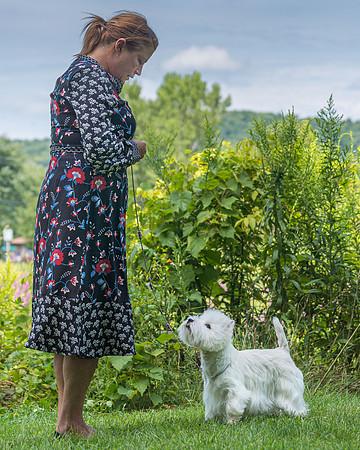 20190818-DSC02592