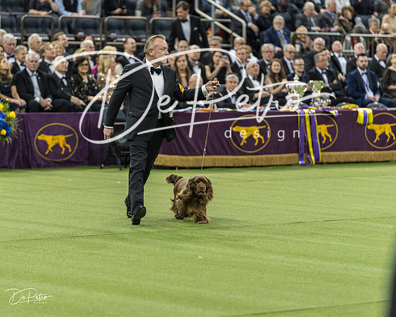 20190212-DSC04796