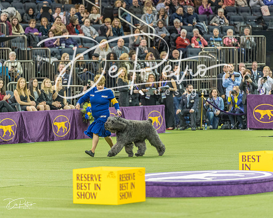 20190212-DSC04758