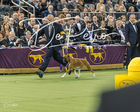 20190212-DSC04771