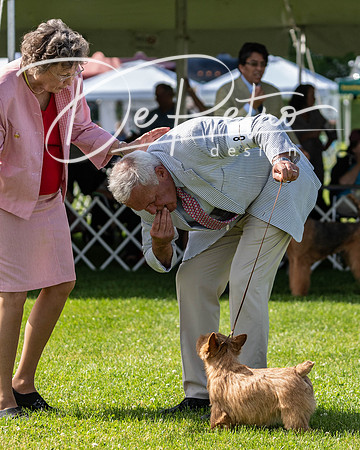 20190608-DSC02515