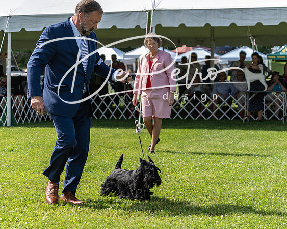 20190608-DSC02420