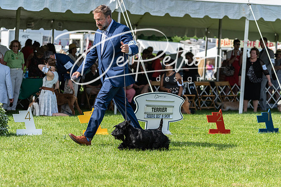 20190608-DSC02375