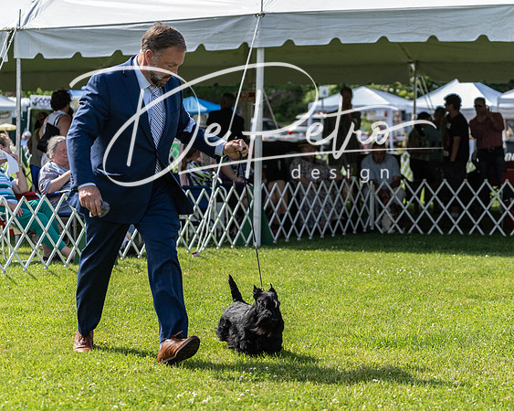 20190608-DSC02411