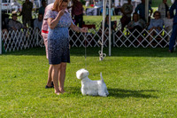 20190608-DSC02362