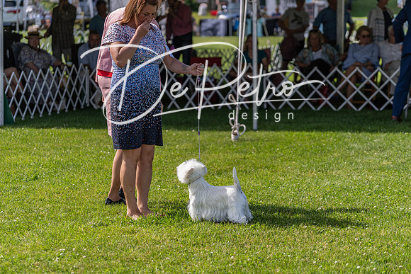 20190608-DSC02362