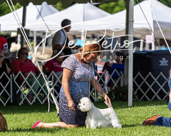 20190608-DSC02539