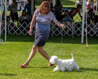 20190608-DSC02352