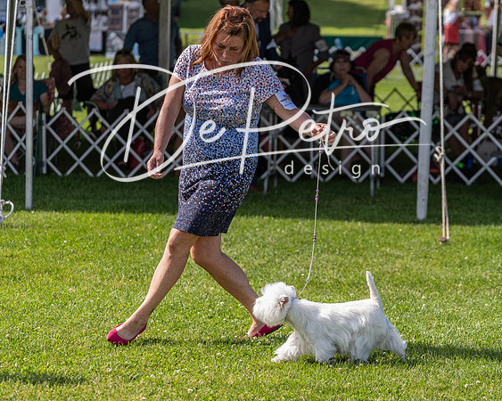 20190608-DSC02352