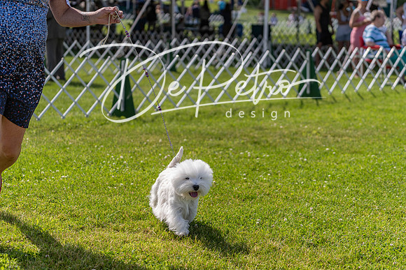 20190608-DSC02371