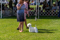 20190608-DSC02364