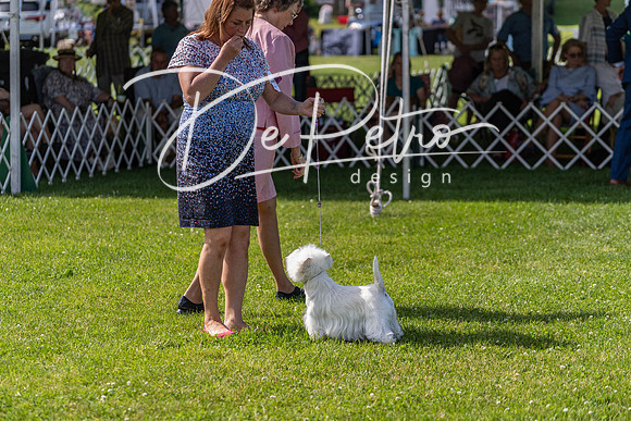 20190608-DSC02364