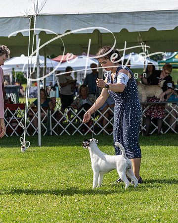 20190608-DSC02444