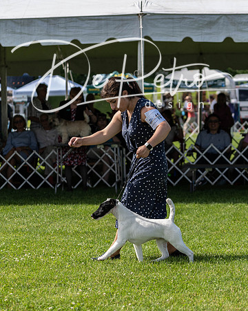20190608-DSC02435