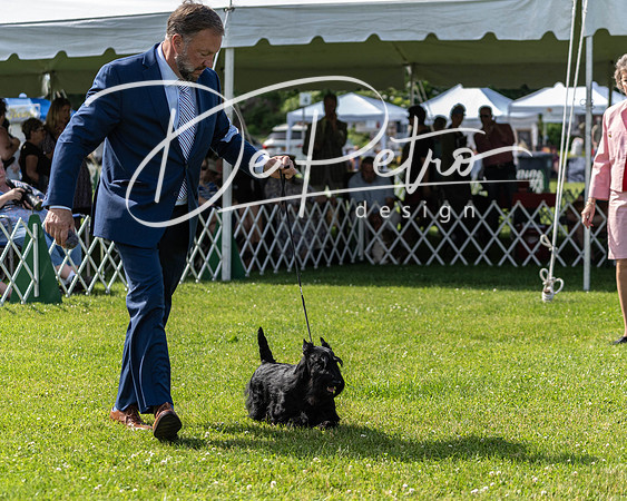 20190608-DSC02414