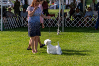 20190608-DSC02363