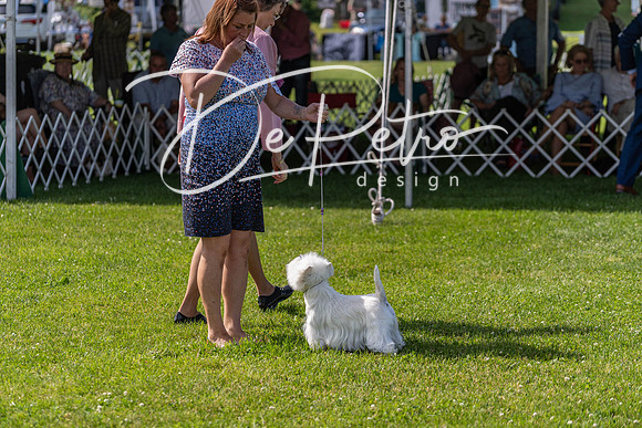 20190608-DSC02363