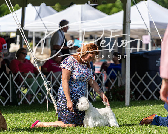 20190608-DSC02538