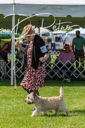 20190608-DSC02475
