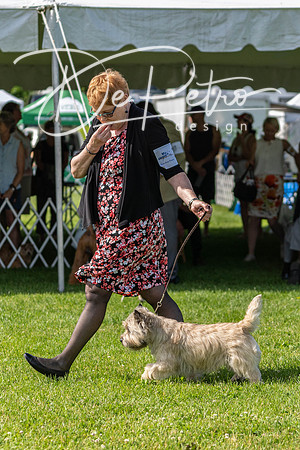 20190608-DSC02472