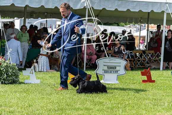 20190608-DSC02376