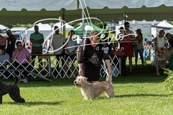 20190608-DSC02533
