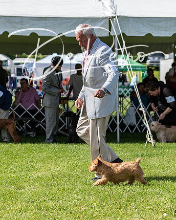 20190608-DSC02504