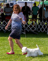 20190608-DSC02346